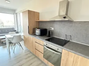 Pronájem bytu 1+kk, Pardubice, Pod Vinicí, 36 m2