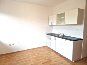 Pronájem bytu 1+kk, Olešná, 25 m2