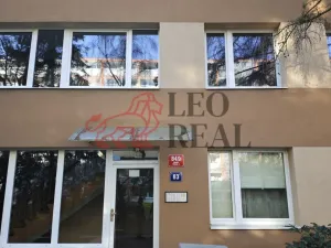 Pronájem bytu 1+kk, Praha - Podolí, Kaplická, 27 m2