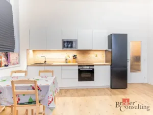 Prodej bytu 2+kk, Ostrava - Přívoz, Palackého, 48 m2