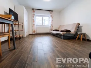 Pronájem bytu 1+1, Vševily, 30 m2