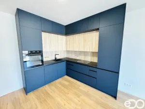 Pronájem bytu 2+kk, Brandýs nad Labem-Stará Boleslav, Dřevčická, 59 m2