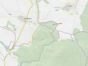 Dražba lesa, Chotěbudice, 1670 m2