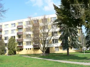 Prodej bytu 3+1, Blatná, Nerudova, 85 m2