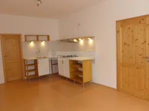 Prodej bytu 2+kk, Plzeň - Východní Předměstí, Guldenerova, 55 m2