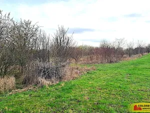 Prodej zahrady, Brno, 863 m2