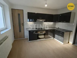 Pronájem rodinného domu, Dětmarovice, 433 m2