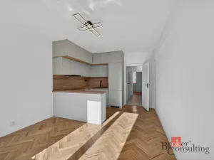 Pronájem bytu 3+kk, Plzeň - Východní Předměstí, Francouzská třída, 60 m2