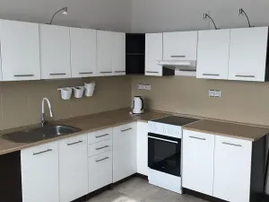 Pronájem bytu 1+1, Žatec, 40 m2