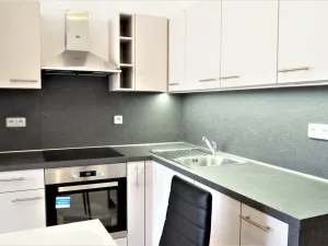 Pronájem bytu 1+kk, Brno, Božetěchova, 40 m2