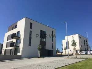 Pronájem bytu 1+kk, Plzeň - Litice, Hrachová, 33 m2