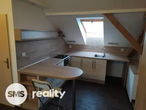 Pronájem bytu 1+kk, Ostrava, Dvouletky, 36 m2