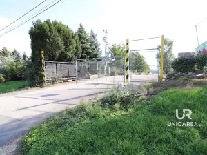 Pronájem skladu, Holubice, 1760 m2