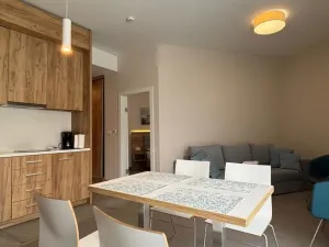 Prodej apartmánu, Dolní Morava, 44 m2