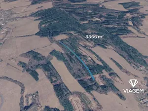 Prodej lesa, Slavičín, 8866 m2