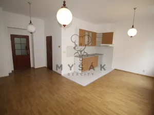 Pronájem bytu 2+kk, České Budějovice, Holečkova, 56 m2