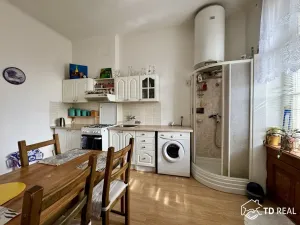 Pronájem bytu 1+1, Brno, Úvoz, 45 m2