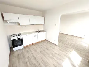 Prodej bytu 3+1, Most, Růžová, 56 m2