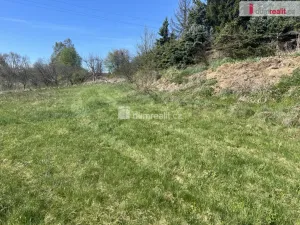 Prodej pozemku pro bydlení, Bruntál, 3780 m2