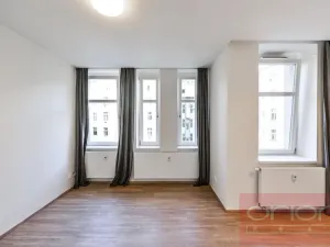 Pronájem bytu 1+kk, Praha - Vinohrady, Lucemburská, 300 m2