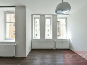 Pronájem bytu 1+kk, Praha - Vinohrady, Lucemburská, 30 m2