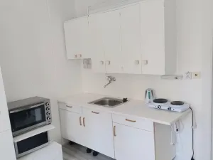 Pronájem bytu 1+kk, Plzeň - Skvrňany, Vejprnická, 20 m2