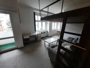 Pronájem bytu 1+kk, Ústí nad Labem - Klíše, Palachova, 40 m2