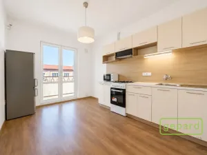 Prodej bytu 2+1, Ostrov, S. K. Neumanna, 64 m2