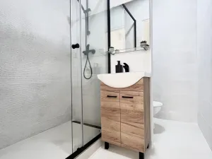 Pronájem bytu 2+1, Ostrava, Dolní, 47 m2