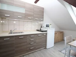 Pronájem bytu 1+kk, Praha - Smíchov, Lidická, 19 m2