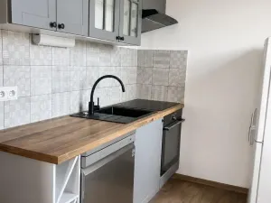 Pronájem bytu 2+1, Praha - Hodkovičky, Údolní, 60 m2