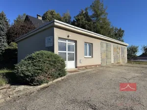 Prodej komerční nemovitosti, Horní Cerekev, Kamenný vrch, 90 m2
