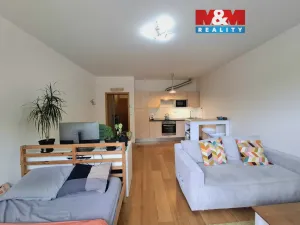 Pronájem bytu 1+kk, Praha - Michle, Nuselská, 32 m2