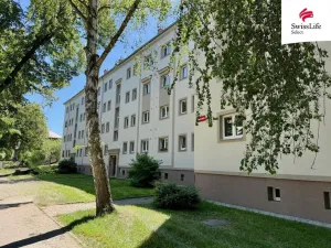 Pronájem bytu 4+1, Plzeň, Zikmunda Wintra, 103 m2