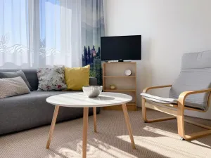 Pronájem bytu 2+1, Plzeň, Toužimská, 46 m2