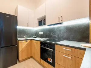 Pronájem bytu 1+kk, Ústí nad Labem - Střekov, Žukovova, 41 m2