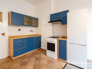 Pronájem bytu 2+kk, Praha - Vinohrady, Písecká, 48 m2