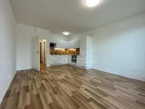 Pronájem bytu 1+kk, Praha - Lhotka, 34 m2