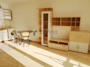 Pronájem bytu 1+kk, Praha, Mattioliho, 37 m2