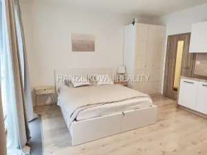 Pronájem bytu 1+kk, České Budějovice - České Budějovice 2, Volejbalistů, 28 m2