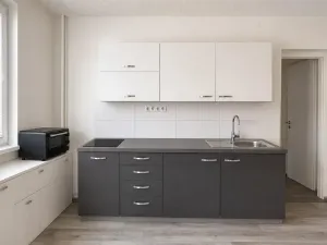 Pronájem bytu 2+1, Ústí nad Labem - Střekov, Pionýrů, 58 m2