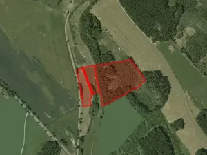 Prodej louky, Bystřice nad Pernštejnem, 40441 m2