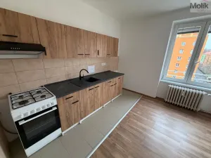 Pronájem bytu 2+1, Most, tř. Budovatelů, 56 m2