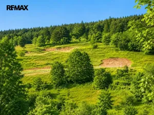 Prodej zahrady, Luhačovice, 1625 m2