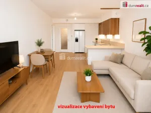 Pronájem bytu 2+kk, Praha - Břevnov, Bělohorská, 60 m2