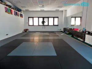 Pronájem obchodního prostoru, Praha - Stodůlky, Mukařovského, 347 m2