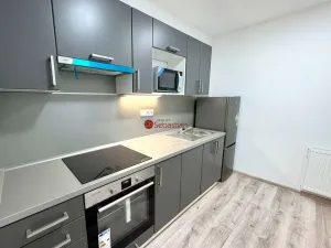 Pronájem bytu 1+1, Litvínov - Horní Litvínov, náměstí Míru, 64 m2