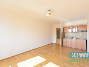 Prodej bytu 1+kk, Bohumín, Svat. Čecha, 28 m2