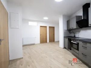 Pronájem bytu 2+1, Plzeň - Jižní Předměstí, Palackého, 52 m2
