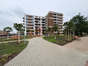Pronájem bytu 2+kk, Praha, 41 m2